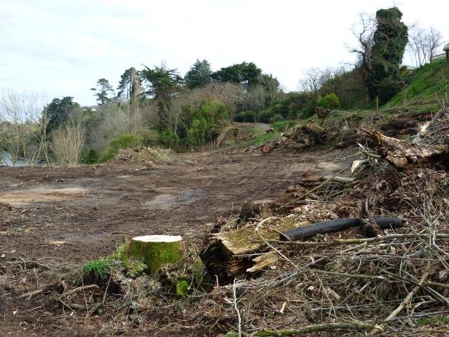 LSP- the beginning, 2008-11 Cambridge Tree Trust